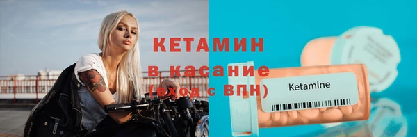 твердый Ладушкин