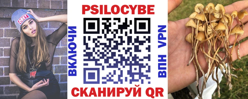 Галлюциногенные грибы прущие грибы  mega ссылки  Чаплыгин 