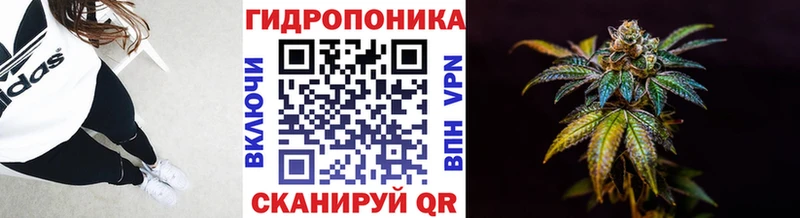 мориарти Telegram  закладки  ОМГ ОМГ   Чаплыгин  Марихуана Bruce Banner 